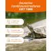 Petifool Koi Exquisit 1kg - Premium Dried Feed Mix for Water Turtles & Fish | Silk Cocks Shrimp & Gammarus - Natural Nutrition - Buy Online on SooperMarket.com