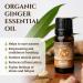 Organic Ginger Essential Oil 10ml by Ecodrop - Therapeutic Grade, Cosmos Certified, Pure Ginger Root Oil for Aromatherapy with Free E-Book - Buy Online on SooperMarket.com