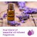 Glade Essential Oil Diffuser Refill Use with Cool Mist Aromatherapy Diffuser Air Freshener for Home Choose Calm Scent with Notes of Lavender & Sandalwood 1 Count - Buy Online on SooperMarket.com