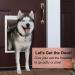 Medium Replacement Dog Door Flap for PetSafe PAC11-11038 - 12 7/8'' x 8 1/8'' - Durable Cat Flap - Buy Online on SooperMarket.com