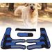 Dog Front Leg Protector 1 Pair Dog Front Leg Braces Wrist Guard for Ligament Injuries Sprains for Loss of Stability(#3 S) - Buy Online on SooperMarket.com