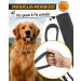 Looxmeer Dog Tow Lines - 3m 5m 7m 10m 15m 20m 30m - Robust Leash with Storage Bag & D-Carabiner | Black 10m - Buy Online on SooperMarket.com