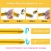Shop Aubric 24k Gold Face Massager - T-Shape Electric Wand for Anti-Aging Skin Firming & Wrinkle Reduction | Global Shipping Available - Buy Online on SooperMarket.com