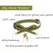 PetSoKoo Cute Bowtie Cat Collar with Bell | Japanese Style Bowknot & Fish Charm | Safety Breakaway | Soft & Lightweight | for Male & Female Cats & Kittens (Tea Green) - Buy Online on SooperMarket.com