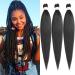 Leeven 3 Packs Pre Stretched Braiding Hair Extension Black Yaki Texture 26 Inch EZ Braids Kanekalon Hair Black Braiding Crochet Hair Extensions /2# 26 Inch (Pack of 3) 2#