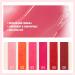 Waterproof High Pigmented Lip Stain - Long Lasting & Quick Dry | Non-Stick Cup & Hydrating Formula - 2-in-1 Lip & Cheek Tint HDN 04 - Buy Online on SooperMarket.com