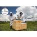 Manuka Doctor Monofloral MGO 525+ Manuka Honey 8.75 oz (250g) - Pure & Natural - Buy Online on SooperMarket.com