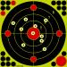 12 Inch & 7 Inch Self Adhesive Shooting Targets, Stick Splatter Reactive Targets, Visual Feedback, Paper Target with Cover-up Patches for Gun, Pistol, Rifle, Bb Gun, Airsoft, Pellet Gun, Air Rifle 7'' Targets (30 Pack)