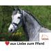 AMKA Double Broken Snaffle Bit | 18mm Stainless Steel | 65mm Rings | Ideal for Horses up to 17.5 cm - Shop Internationally - Buy Online on SooperMarket.com