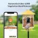 Birdfy Bird Feeder with Camera - AI Detection Video Recording & Solar Powered - Ideal for Wild Bird Feeding - Buy Online on SooperMarket.com