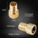 Brass Presta Valve Adapter (5 Pack) - Convert to Schrader, Inflate with Bike Pump/Air Compressor - Buy Online on SooperMarket.com