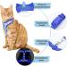 Supet Cat Dishes & Line Set - Perfect Feeding Solution for Kittens | International Shipping Available - Buy Online on SooperMarket.com