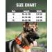 Joytale Tactical Dog Collar for Large Dogs | Durable Orange Dog Collar with Handle & QR Code Tag | Shop Now! - Buy Online on SooperMarket.com