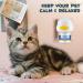 Cjztp Cat Calming Diffuser Enhanced Cat Pheromones Diffuser Starter Kit for 30 Days Supply Cat Anxiety Stress Relief to Reduce Fighting Scratching 48ml - Buy Online on SooperMarket.com
