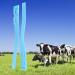 10pcs Livestock Plastic Cattle Identification s - Durable Cow Marking Bands for Easy Farm Management and Animal Tracking - Buy Online on SooperMarket.com