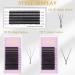 EMEDA 6D W Lash Extensions D Curl .07mm Mix Tray - 8-12mm Premade Volume Fans - Buy Online on SooperMarket.com
