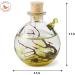 Shrimp Bubble Self-Sustaining Ecosystem in Amber - Eco-Friendly Home Decor - Buy Online on SooperMarket.com