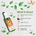 Buy Crysalis Tea Tree Floral Water (Melaleuca alternifolia) - 3.38 Fl Oz (100ml) | Refreshing & Soothing | International Shipping Available - Buy Online on SooperMarket.com