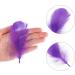 Coceca 300pcs Colorful Feathers for DIY Craft, Wedding, and Party Decor - Buy Online on SooperMarket.com