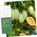 GANAZONO 9 Pcs Vegetable Mold Fruit Shaper Planting Vegetable DIY Cucumber Watermelon 9x8cmx3pcs Transparentx3pcs - Buy Online on SooperMarket.com