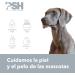 PSH Nose Balm for Dogs - Moisturizing Balm 100ml | Hydrate & Heal Dry Noses - Buy Online on SooperMarket.com