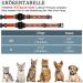 Reflective Airtag Cat Neck Band - Jiarui GPS Collar for Cats & Puppies 9-13 inch - Adjustable with Bell - Orange - Buy Online on SooperMarket.com