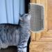 certainoly Cat Self Groomer - Soft Cat Grooming Brush - Soft Wall Corner Scratcher Massage Combs Grooming Brush Tool for Kitten Puppy with Long or Short Gray - Buy Online on SooperMarket.com