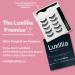 Luxillia Magnetic Lashes with Eyeliner Set - 3D & 8D Natural Looking Reusable Fake Eyelashes Kit - Waterproof Liquid Liner - Includes Applicator - 7 Piece Set - Buy Online on SooperMarket.com