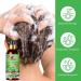 Rosemary Mint Hair Shampoo & Serum Set | All Hair Types | Nourishing Rosemary Oil for Men & Women - Buy Online on SooperMarket.com