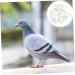 Yardwe 300 Pcs Pigeon Anklet Chicken Drumsticks Tag Plastic Foot Ring for Pigeon Poultry Pen Parrot Baby 1.3X1.3CMx3pcs Whitex3pcs - Buy Online on SooperMarket.com