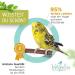 5 Pack Galvanized Steel Screws for DIY Bird Toys & Cage Attachments - Perfect for Tinkerers - Buy Online on SooperMarket.com