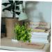 Cabilock 1pc Simulated Potted Plant Green Plants Plastic Rosemary As Shown 22x8cm - Buy Online on SooperMarket.com