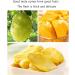 Jackfruit Dried Fruit Snacks4.6oz/130g Gluten Free Organic Dried Jackfruit Chips Vegan Fragrant and crispy Very good snacks - Buy Online on SooperMarket.com