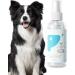 PUCHEN Teeth Cleaning Spray for Pet Pet Teeth Cleaning Spray 60ml - Cleaning Dog Teeth Spray Odors and Freshen Breath for Home Outdoor Travel Use - Buy Online on SooperMarket.com
