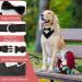 Shop Hacraho Formal Dog Smoking Banda Adjustable Black Wedding Collar with Fly & Tie for Medium to Large Dogs - Buy Online on SooperMarket.com