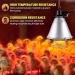 BrightArk 250W Poultry Heat Lamp with 2.5M Wire and 2M Hanging Chain - Energy Saving Switch, Livestock Breeding Brooder Lamp for Puppies, Chicks, Piglets, Reptiles (No Bulb) - Buy Online on SooperMarket.com