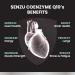 Coenzyme Q10 300mg High Potency Ubiquinone with Vitamin E & Black Pepper - Antioxidant for Heart Health and Cellular Energy Production - 2 Month Supply - 60 Count | Made in Canada 60 count (Pack of 1) - Buy Online on SooperMarket.com