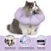 HiDREAM Cat Cone Collar | Cute & Waterproof Elizabethan E-Collar for Cats | Anti-Bite & Lick Wound Healing Collar | Safety Cat Recovery Collar | Medium - Purple - Buy Online on SooperMarket.com