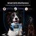 DINJOO Rechargeable Smart Bark Collar for Dogs - Adjustable Sensitivity Training Collar with Beep, Vibration, and Shock for Anti-Barking - Suitable for Large, Medium, Small Breeds - Black - Buy Online on SooperMarket.com