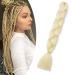 Gairyan Blond Jumbo Braids Extensions Kunsthaar for braid Extensions 1PCs Braoiding KanCalon Synthetic Hair Box Braids Hair extensions braids Afro (24 -inch 100g blonde) 60 cm (1 piece) bleached blonde