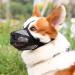 Adjustable Breathable Mesh Dog Muzzle - Grey S | Comfortable & Secure Muzzle for Dogs - Buy Online on SooperMarket.com