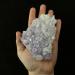 SQGCPGOQ Mexican Phantom Amethyst 11oz 170207 - Buy Online on SooperMarket.com