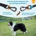 Buy Aystkniet 20m Reflective Bungee Leash for Large Dogs (Up to 80kg) - Padded Handle Lockable Hook - Durable Day & Night Walking Leash - Blue - Buy Online on SooperMarket.com