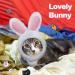 3 Piece Cat Costume Set with Adjustable Pet Headwear for Kitten and Dog Cosplay - Perfect for Halloween and Birthday Parties (Basic Style) - Buy Online on SooperMarket.com