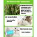 Berdexa Cat Grass Teething Sticks Verdexa Cat Grass Teething Sticks for Indoor Cats Cat Grass Chew Stick Cat Chew Stick Natural Molar Rod Increase Appetite (1Bucket) - Buy Online on SooperMarket.com