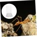Yardwe Ant Water Dispenser - Ideal for Ant Nests & Feeding | 6.00x3.70x3.70cm | International Shipping - Buy Online on SooperMarket.com