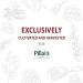 Pillai's Chickpeas (Bold Brown) - 250 grams - Buy Online on SooperMarket.com