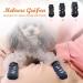 Ranypet Indoor Anti-Slip Socks for Dogs | Soft Adjustable Paw Protection with Traction Control | Ideal for Old Dogs on Hardwood Floors - 3 Pairs M Size Pf tchen Pattern - Buy Online on SooperMarket.com