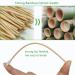Bamboo Cotton Swabs 500 Count - Biodegradable 6 inch Cotton Buds - Organic Tip Applicators for Makeup, Cleaning & Pets Care - Buy Online on SooperMarket.com