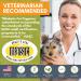 Wholistic Pet Organics Run Free Dog Joint Health Supplement - 120 Natural Hip and Joint Soft Chews for Mobility Support - Buy Online on SooperMarket.com